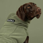 PAIKKA Seawool Hundeshirt Thyme