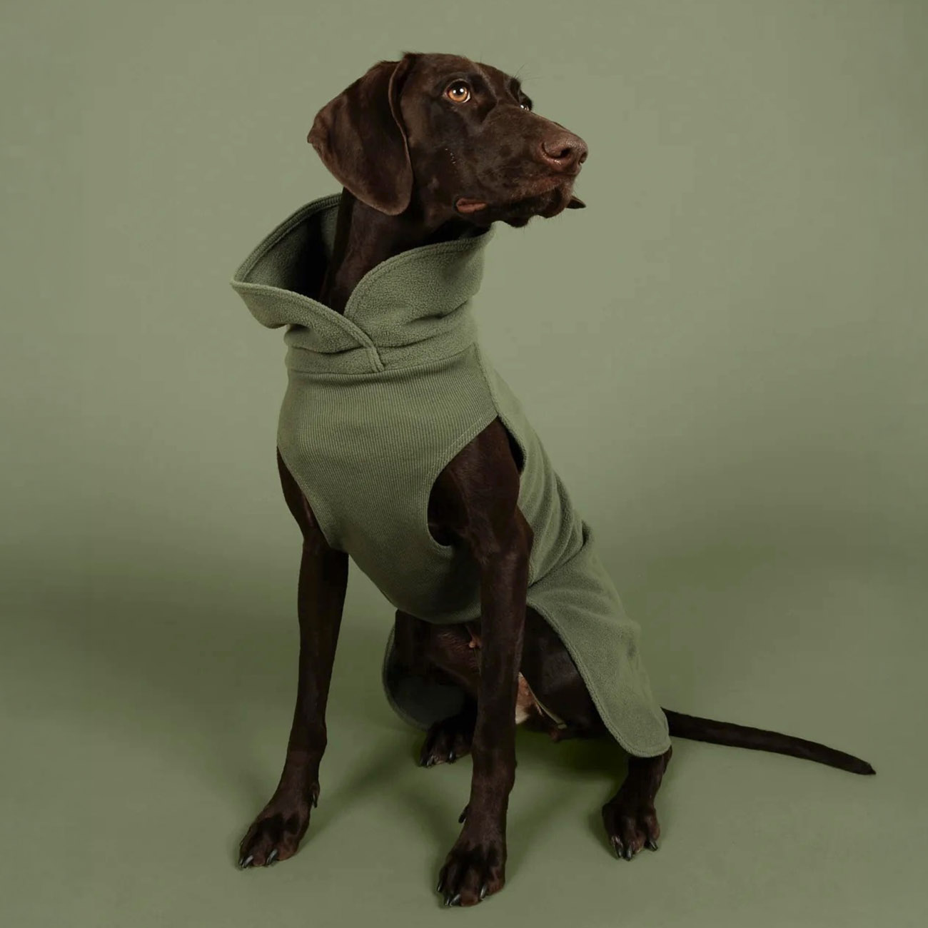 PAIKKA Seawool Hundeshirt Thyme