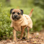 PAIKKA Sherpa Hundeshirt Taupe