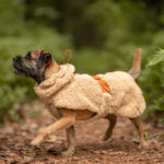 PAIKKA Sherpa Hundeshirt Taupe