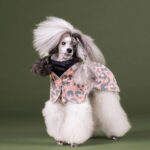 PAIKKA Visibility Hunderegenmantel Pink Leo