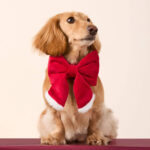 Santa Paws Damen Hundeschleife
