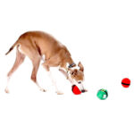 Spielzeug XMAS BÄLLE – Bild 2