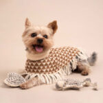 Triade Alpaka Hund Poncho