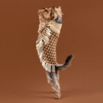 Triade Alpaka Hund Poncho