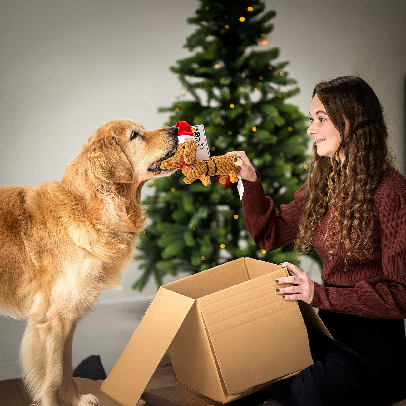 Weihnachtliches Dackel Kauspielzeug Fuer Hunde SANTA SAUSAGE Aus Baumwolle