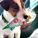 Woofmas Balls Rind Weihnachtsleckerlis Fuer Hunde